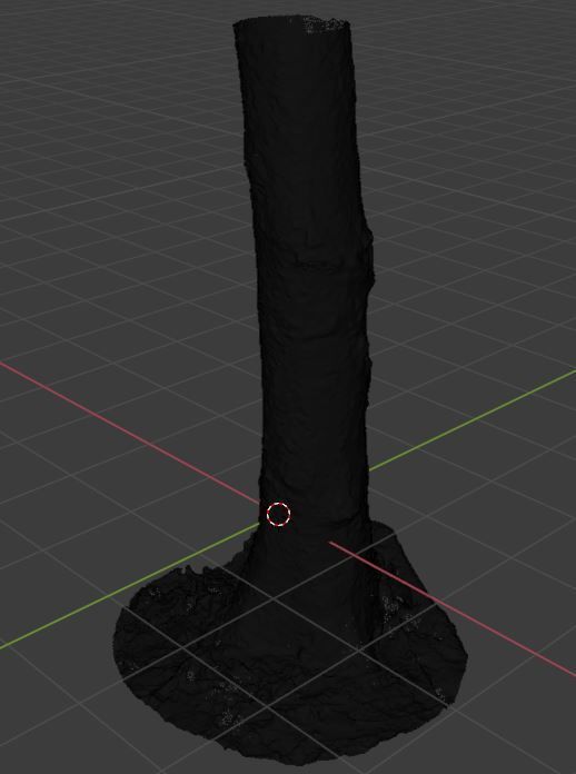 Tree Photoscan 3D model_16