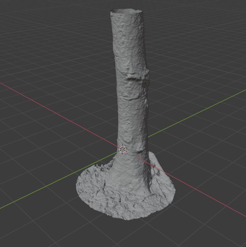 Tree Photoscan 3D model_8