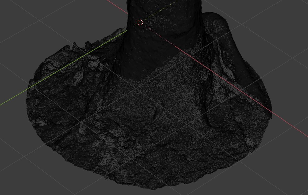 Tree Photoscan 3D model_17