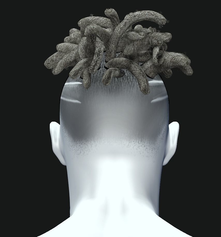 Apocalyptic Hairstyles-Dreadlocks Short Low-poly 3D model_3