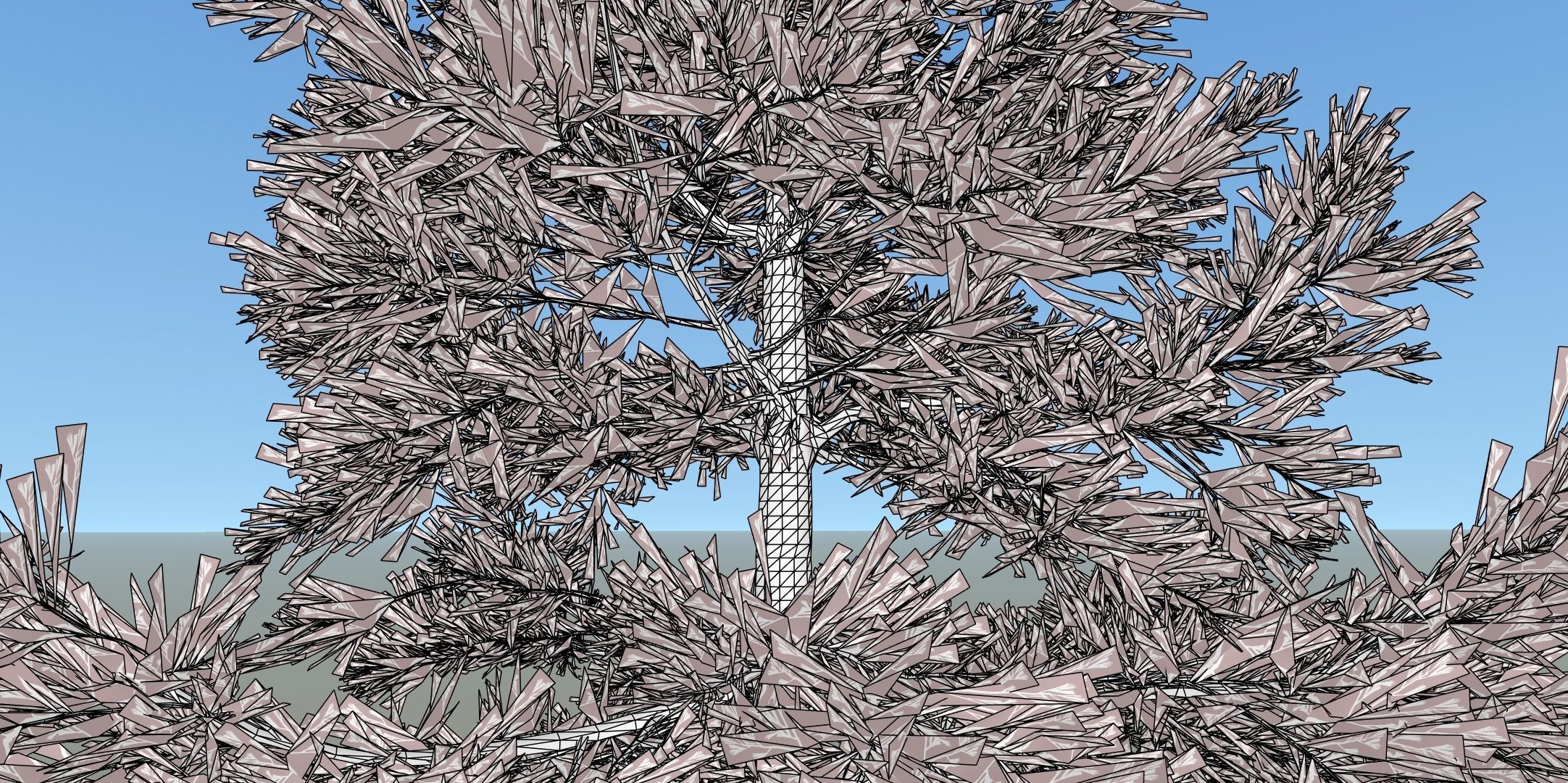 Conifer Tree 004 3D model_7