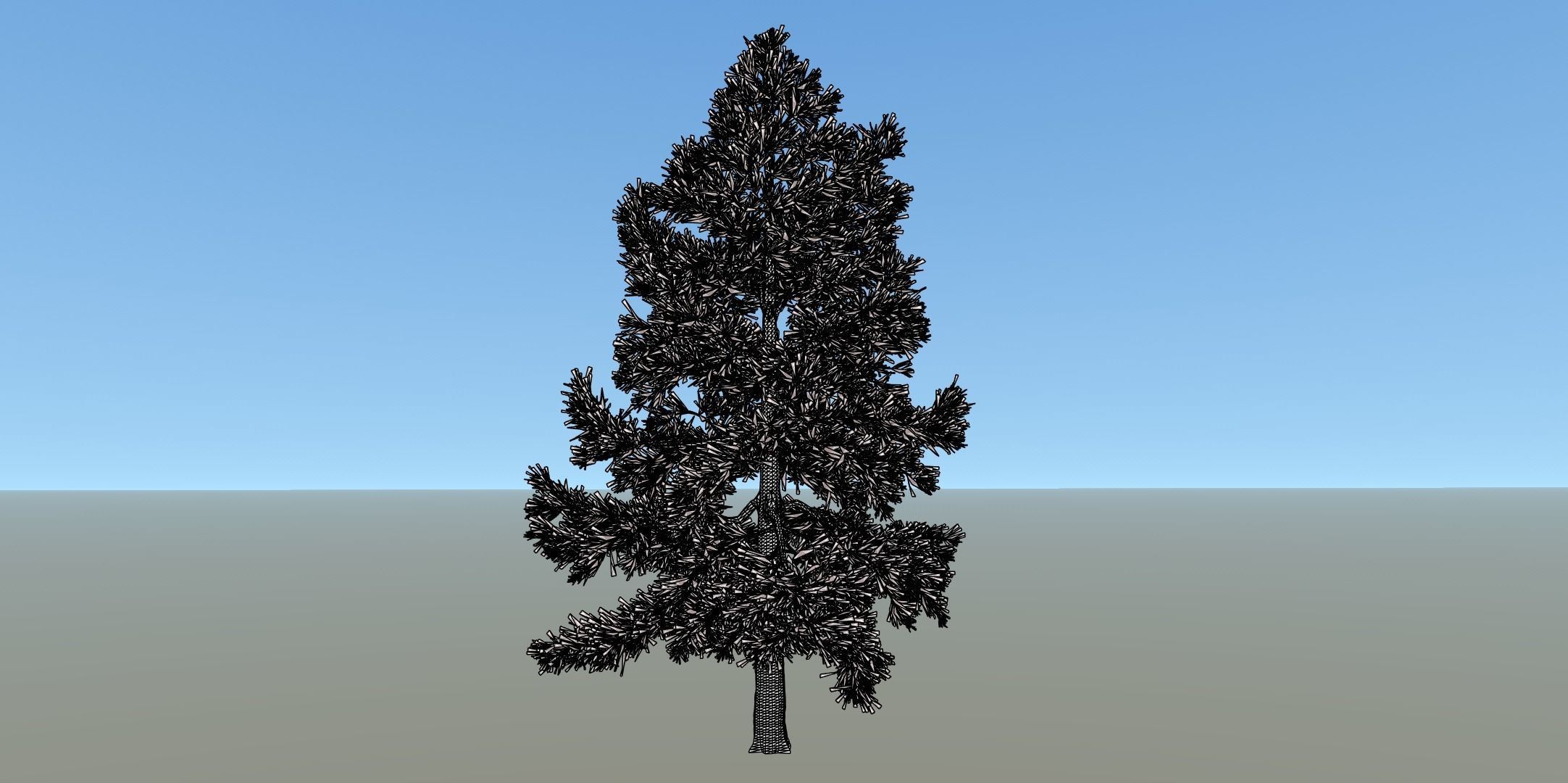 Conifer Tree 004 3D model_6