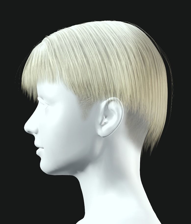 Business Hairstyles - Bob with Side Swept Low-poly 3D model_4