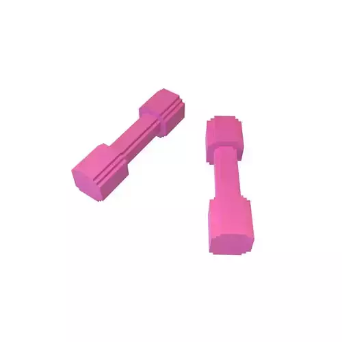 Voxel Style DumbBell v1 003