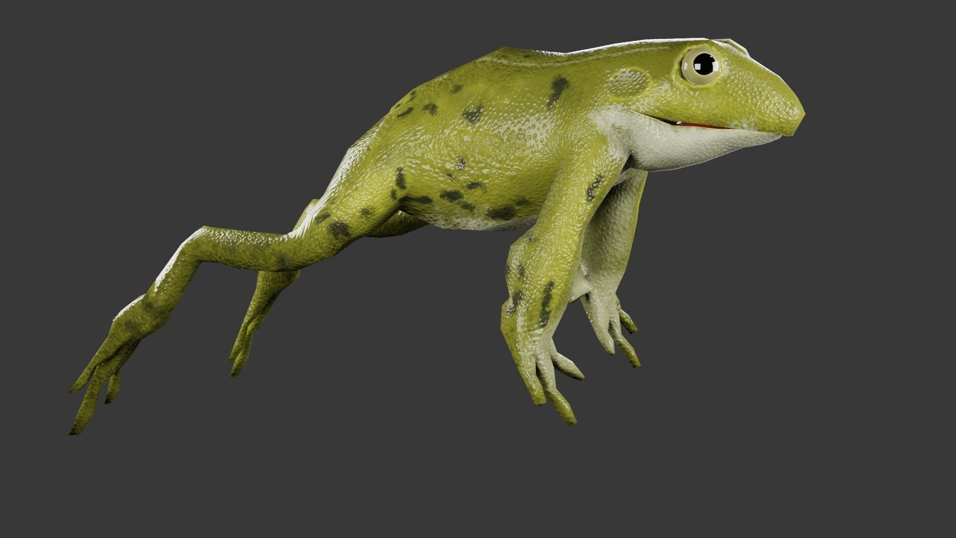 Low Poly Frog with Rigged Low-poly 3D model_5
