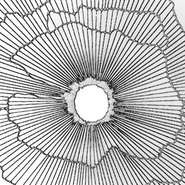 Wall decor futuristic coral Panel 3D 3D model_10