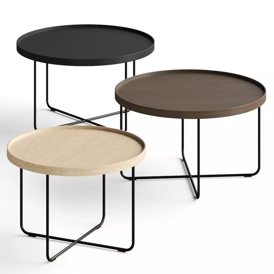 Paola Lenti Passepartout Coffee Tables 3D model_0