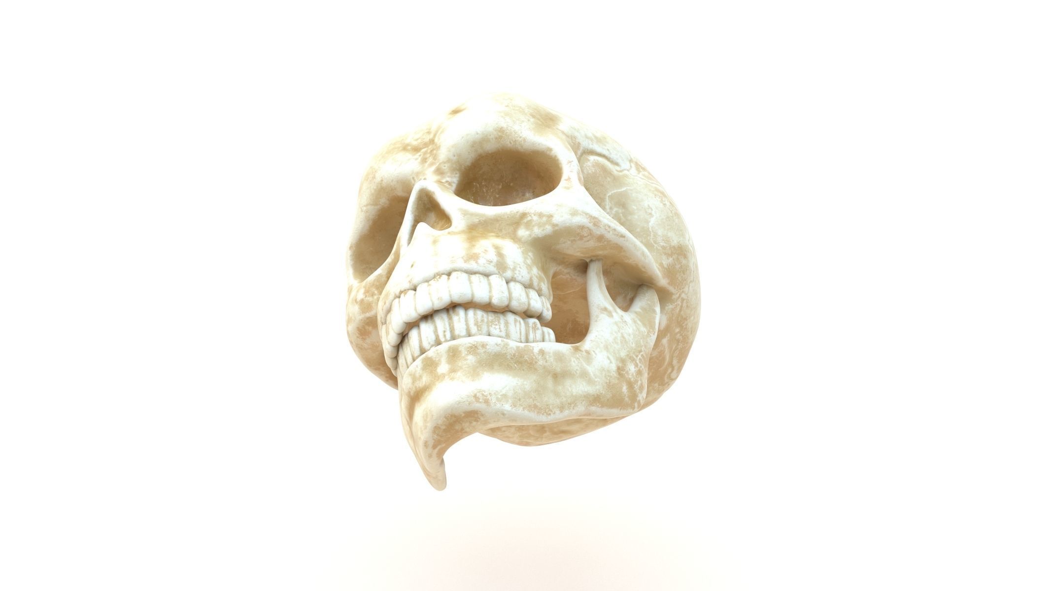 Male Human Skull Low-poly 3D model_4