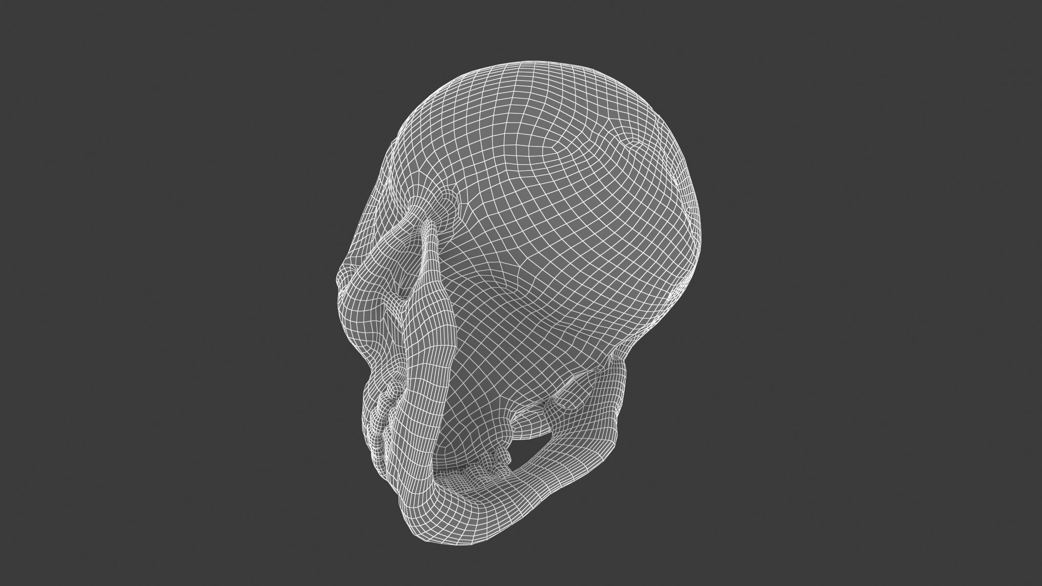 Male Human Skull Low-poly 3D model_8