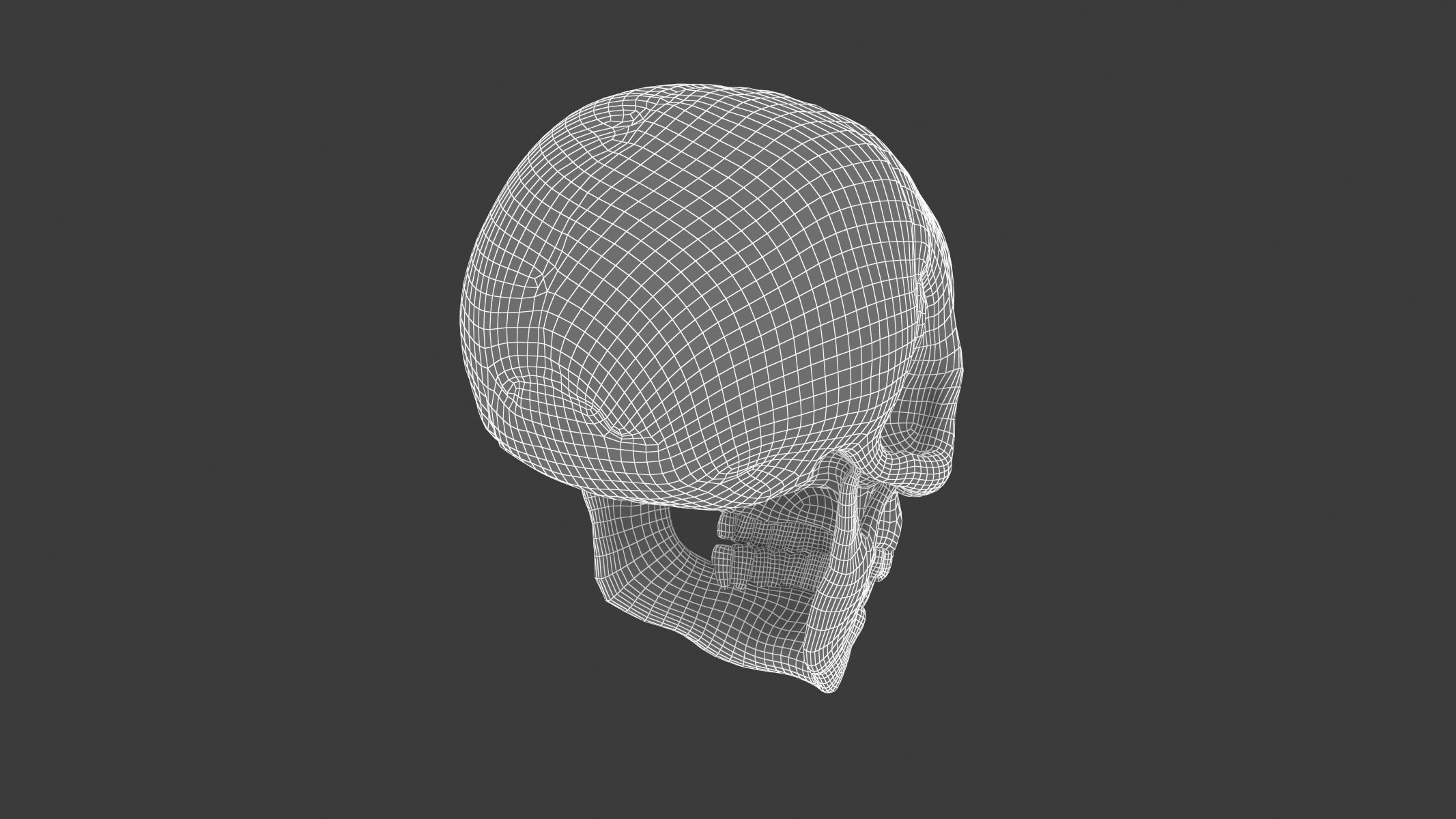 Male Human Skull Low-poly 3D model_7