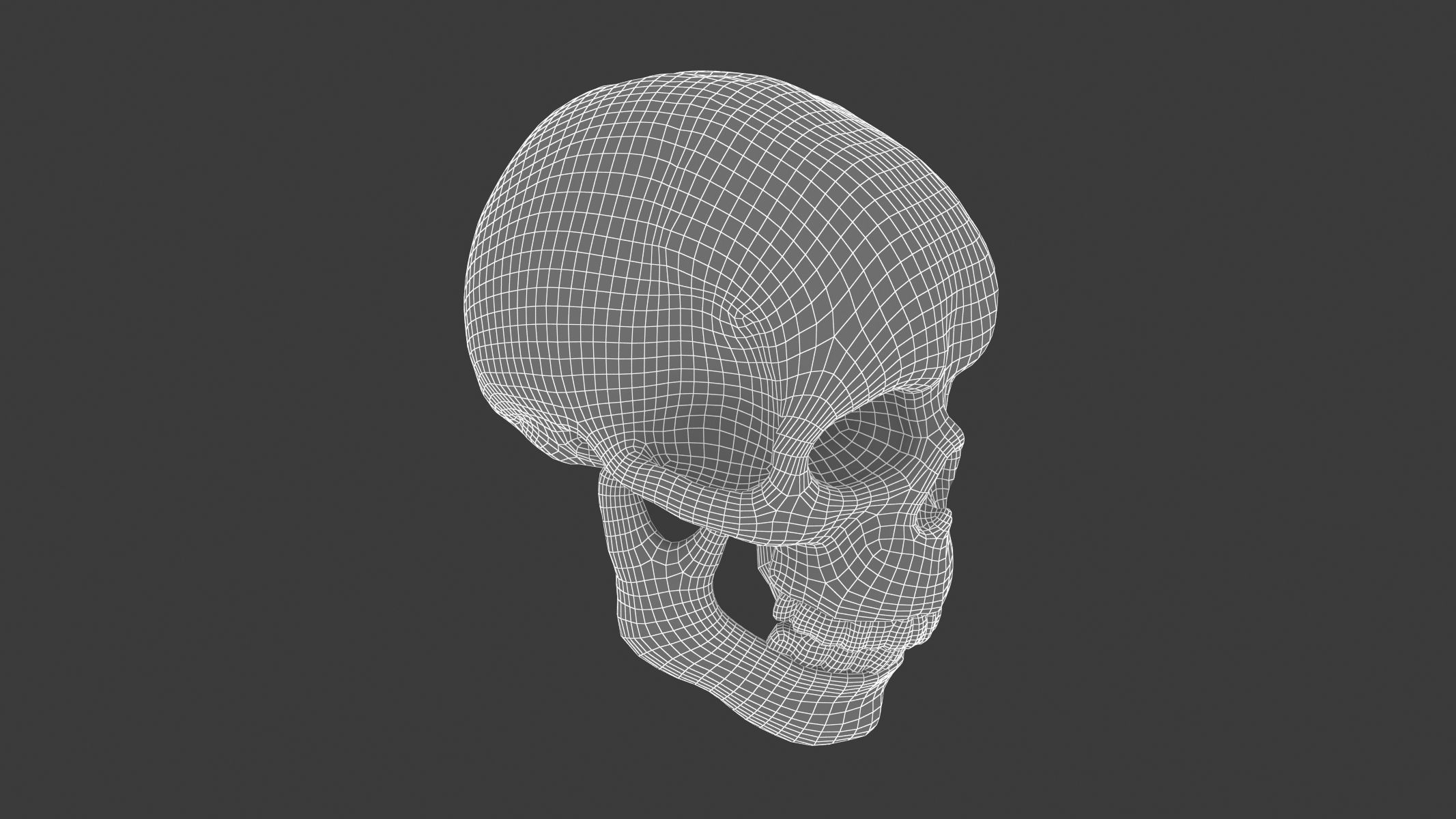 Male Human Skull Low-poly 3D model_6
