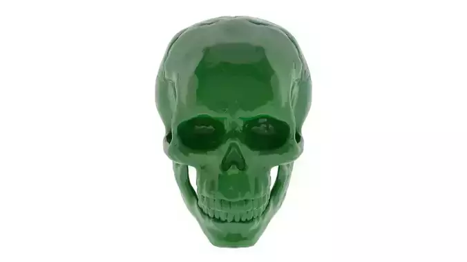 Skull 3D Print