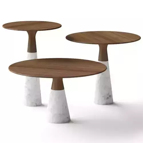 Neutra Leaf by Luca Martorano Coffee Tables