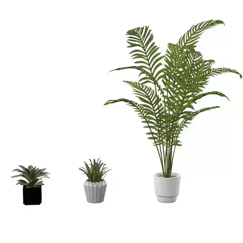 Plant Set palm in pot 3D model Plant Set palm in pot 3D model