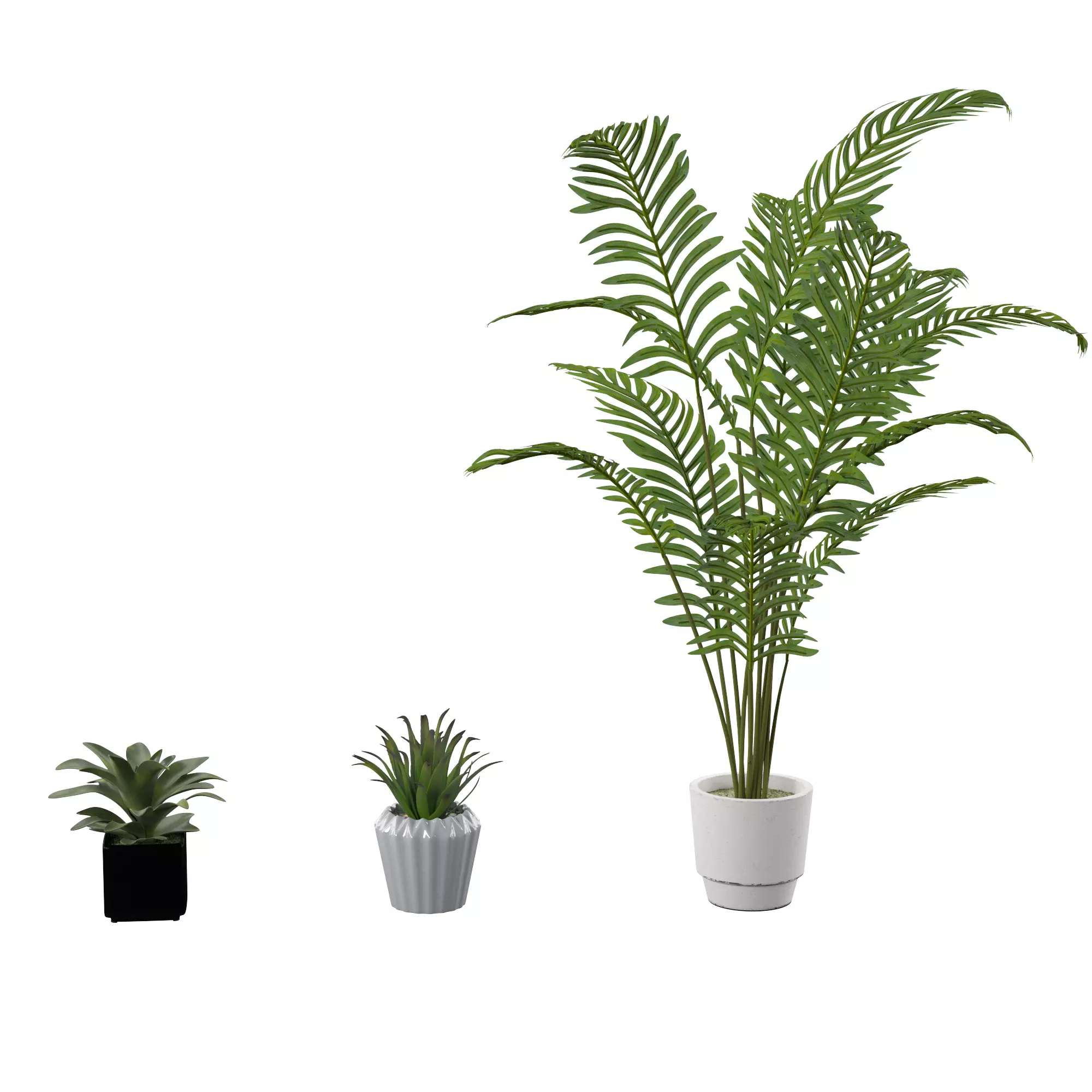 Plant Set palm in pot 3D model_0