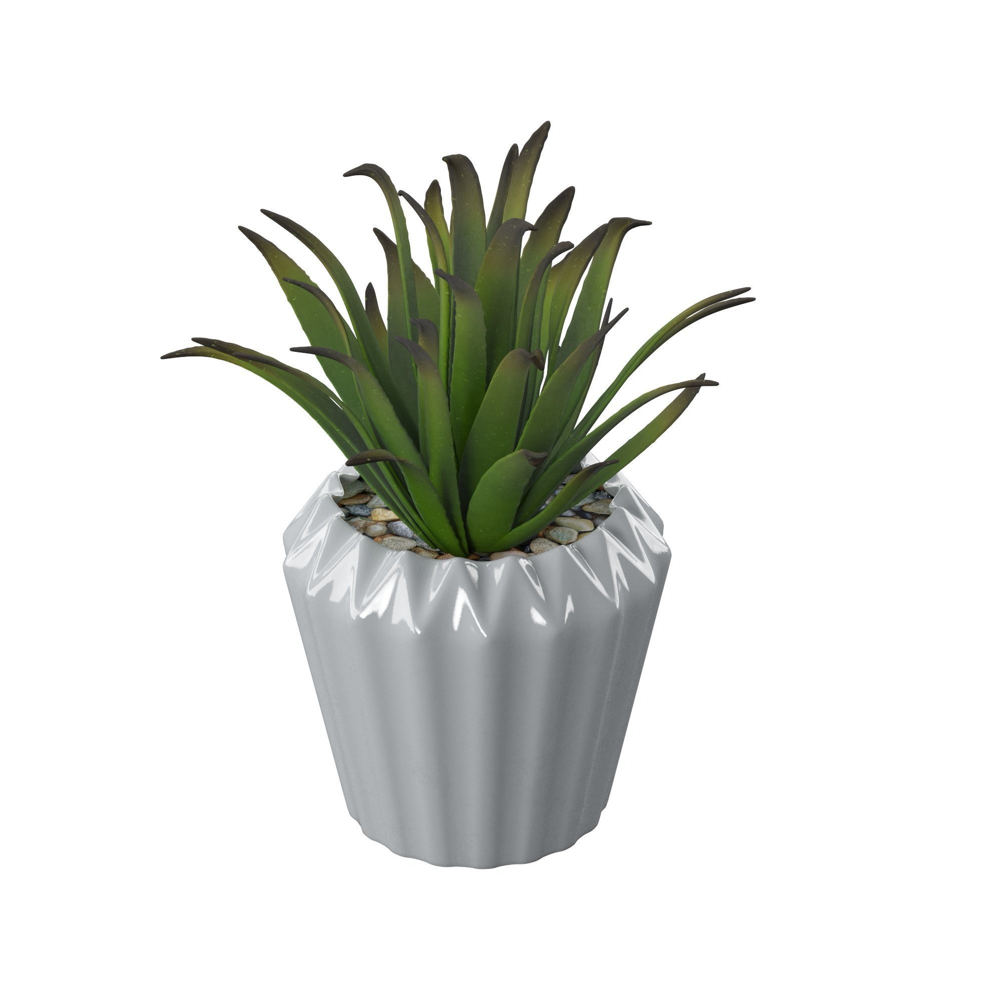 Plant Set palm in pot 3D model_6