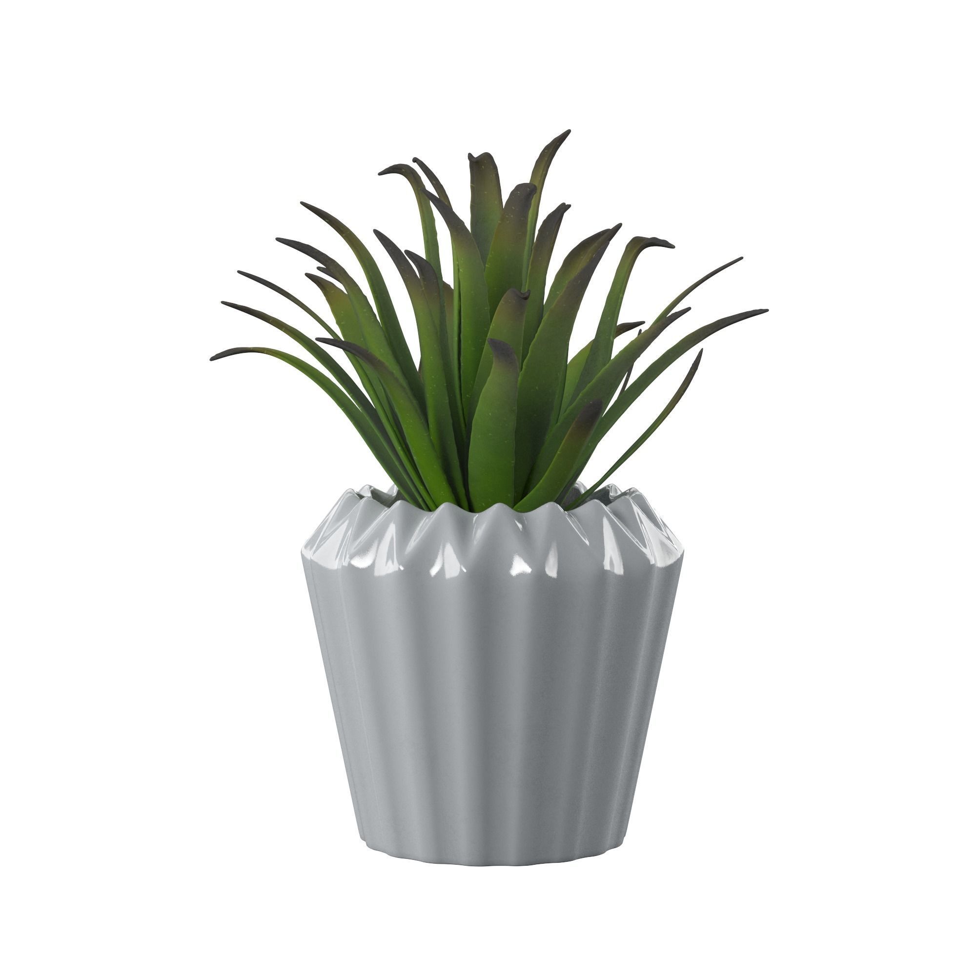 Plant Set palm in pot 3D model_5