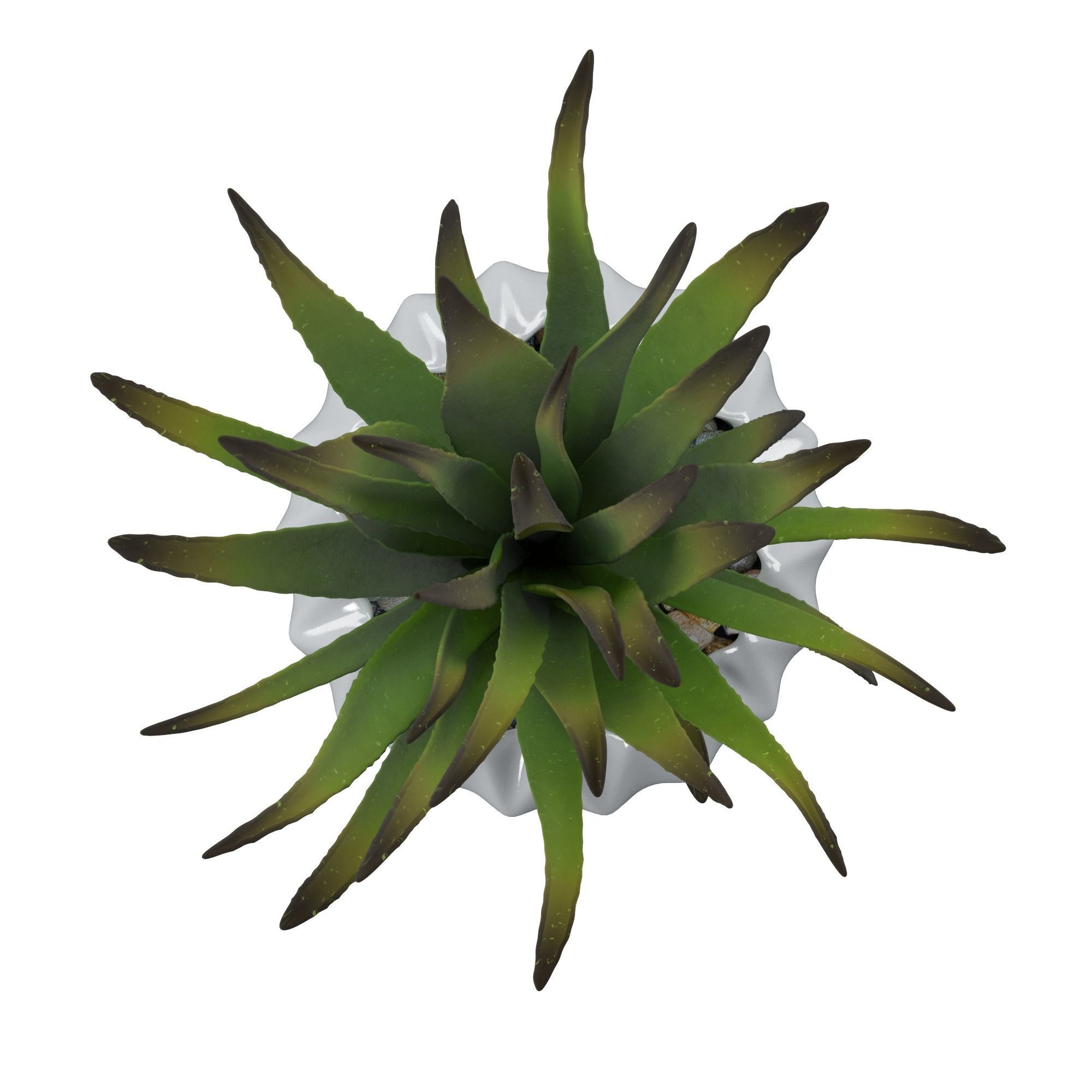 Plant Set palm in pot 3D model_7