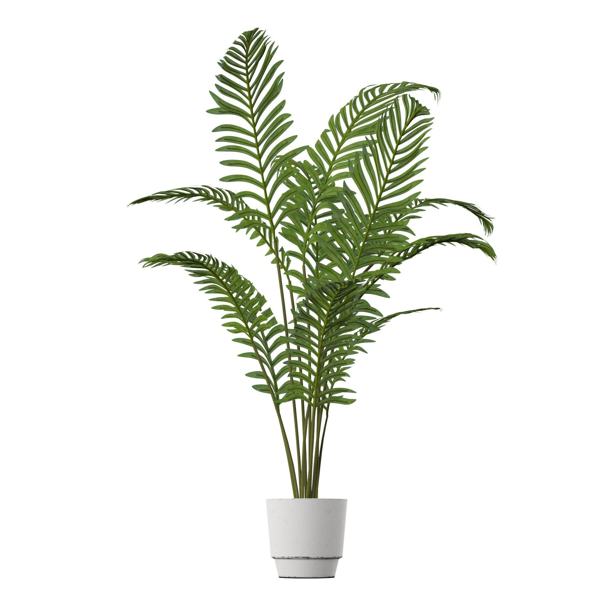 Plant Set palm in pot 3D model_8