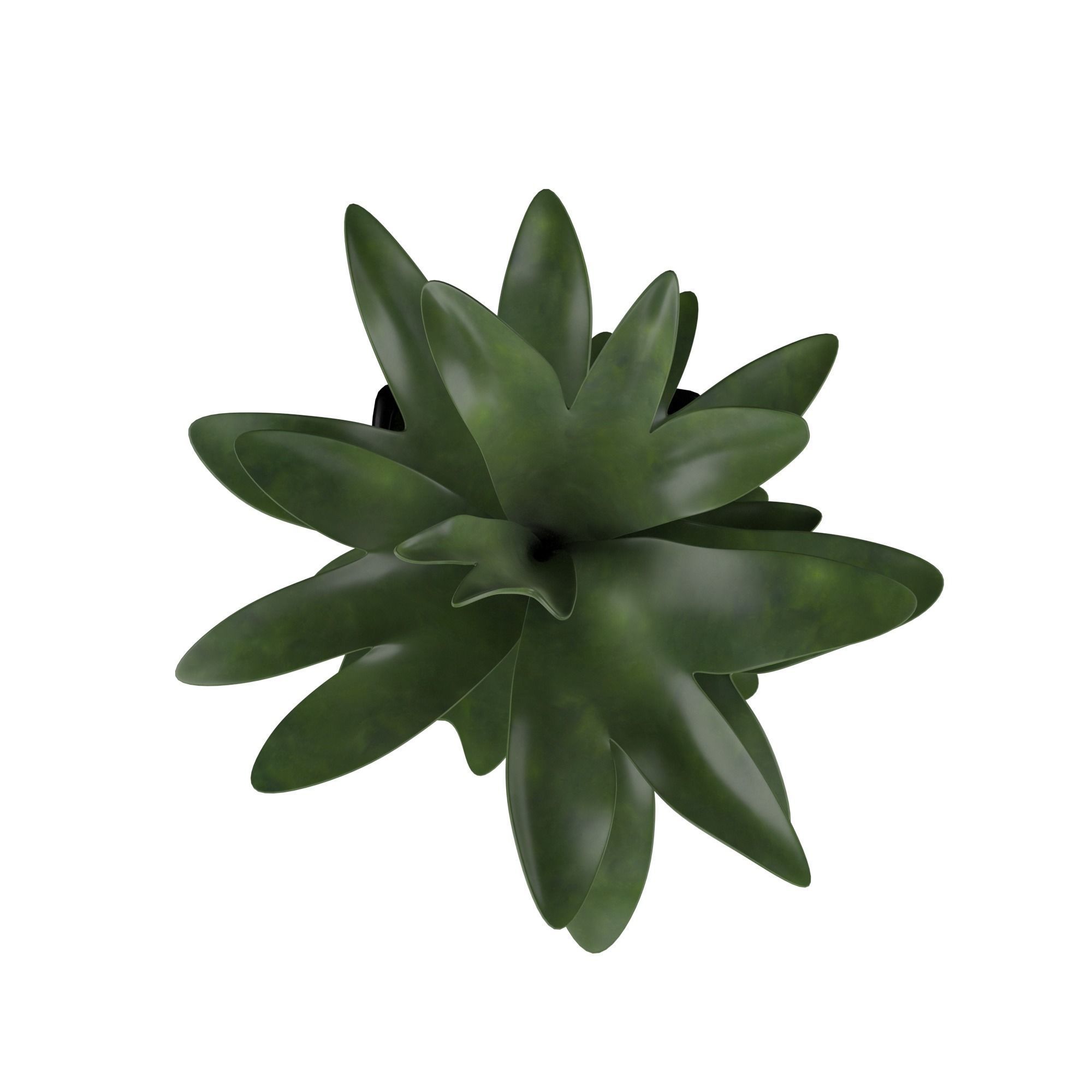 Plant Set palm in pot 3D model_4