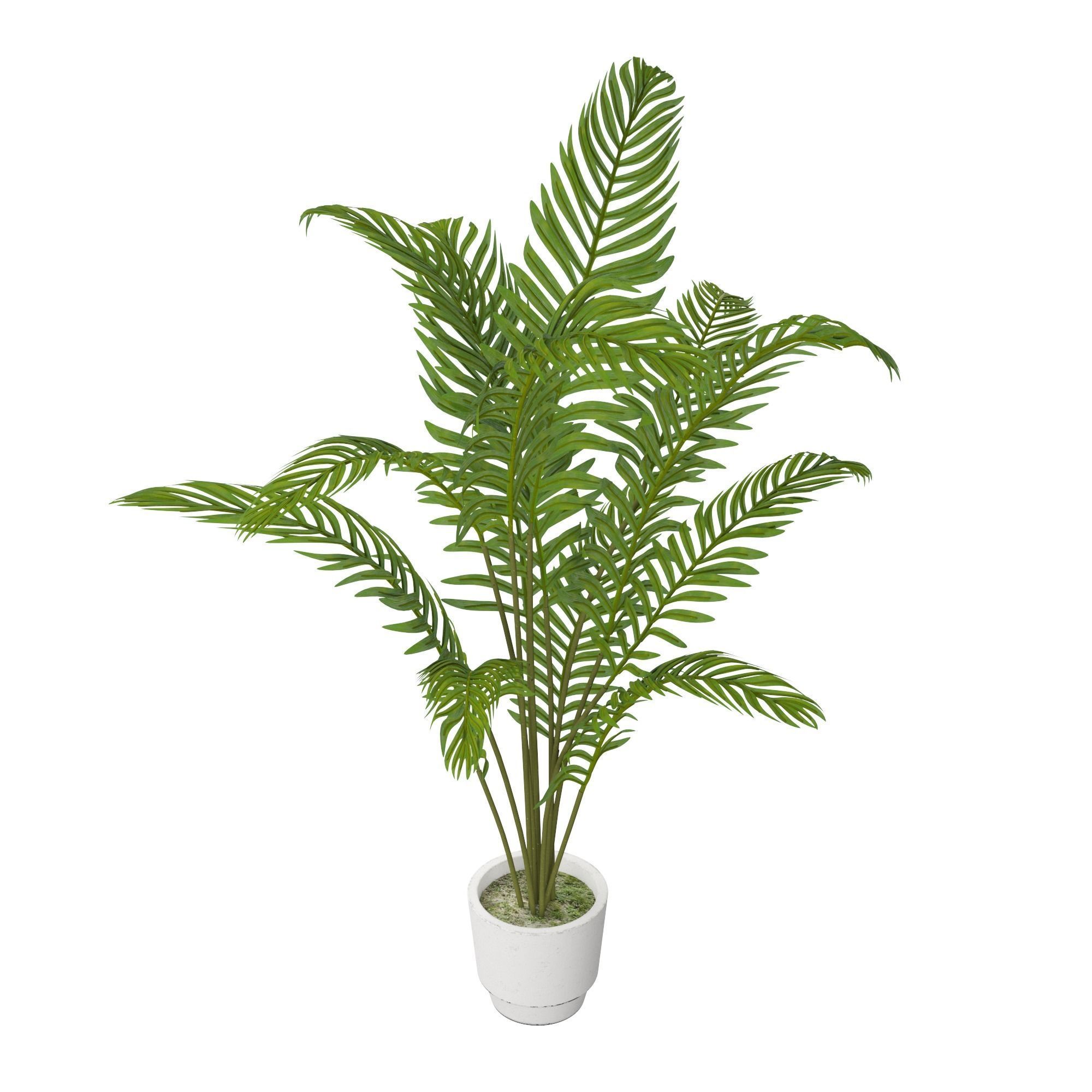 Plant Set palm in pot 3D model_9