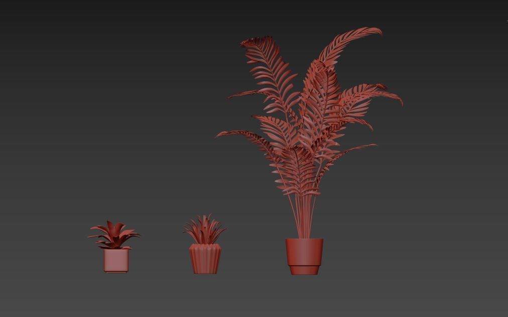 Plant Set palm in pot 3D model_1