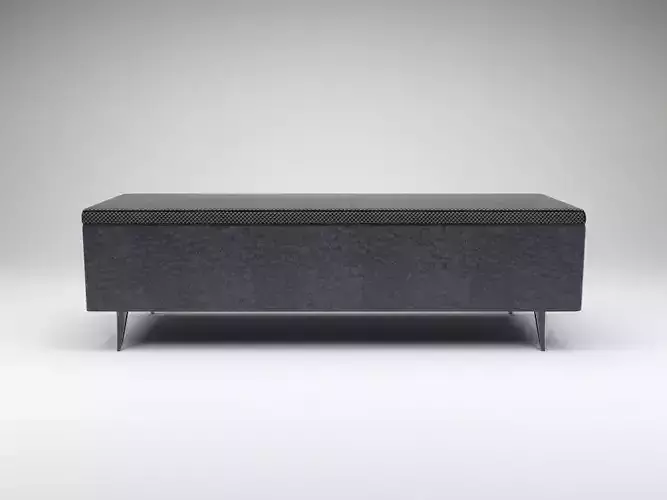 Modern Pouf Storage Bench