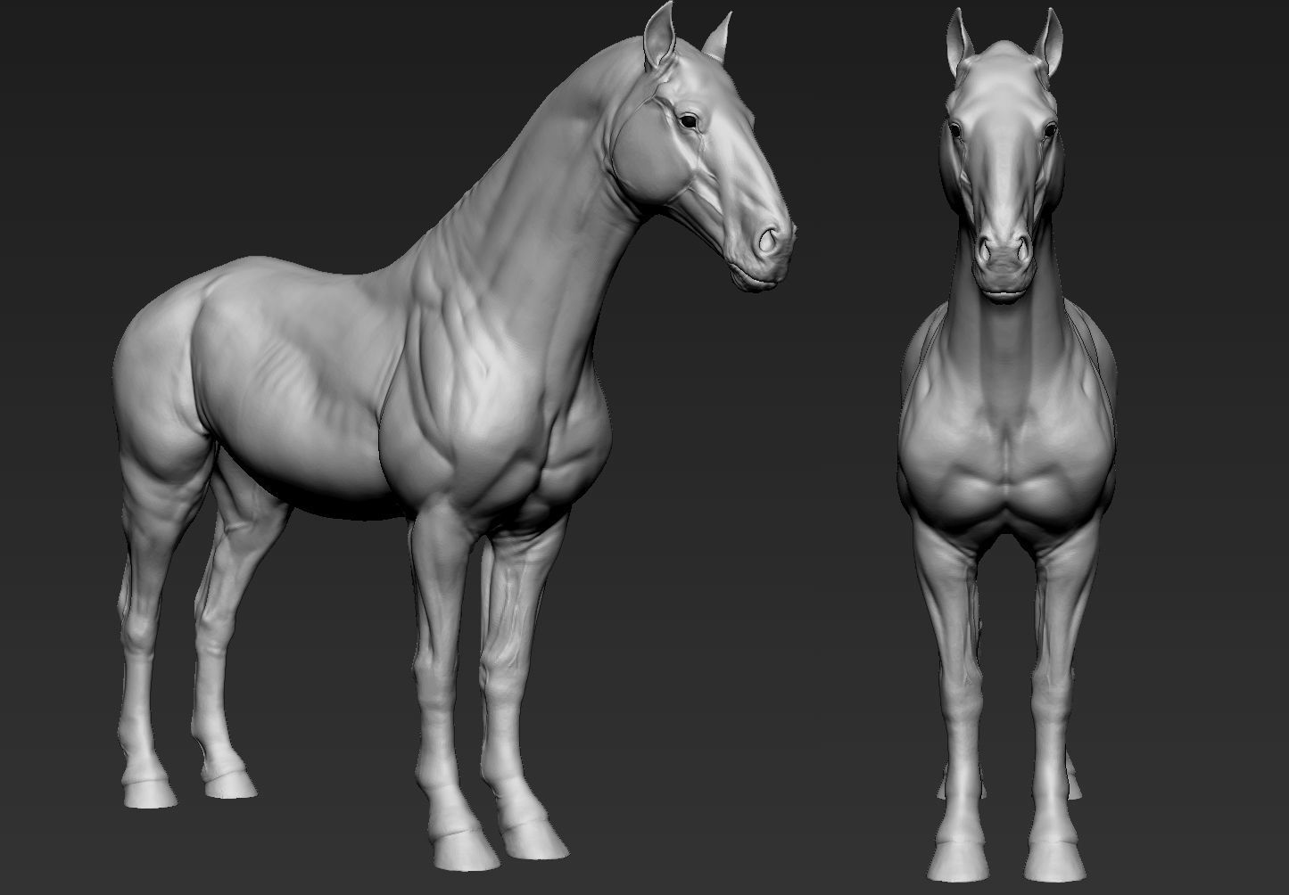 Stallion Horse Sculpt highres 3D print model 3D model 3D printable