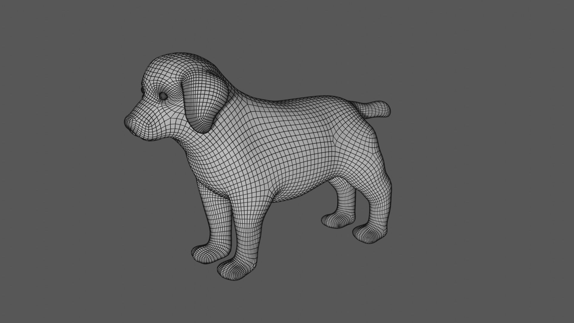 Puppy Labrador Low-poly 3D model_9