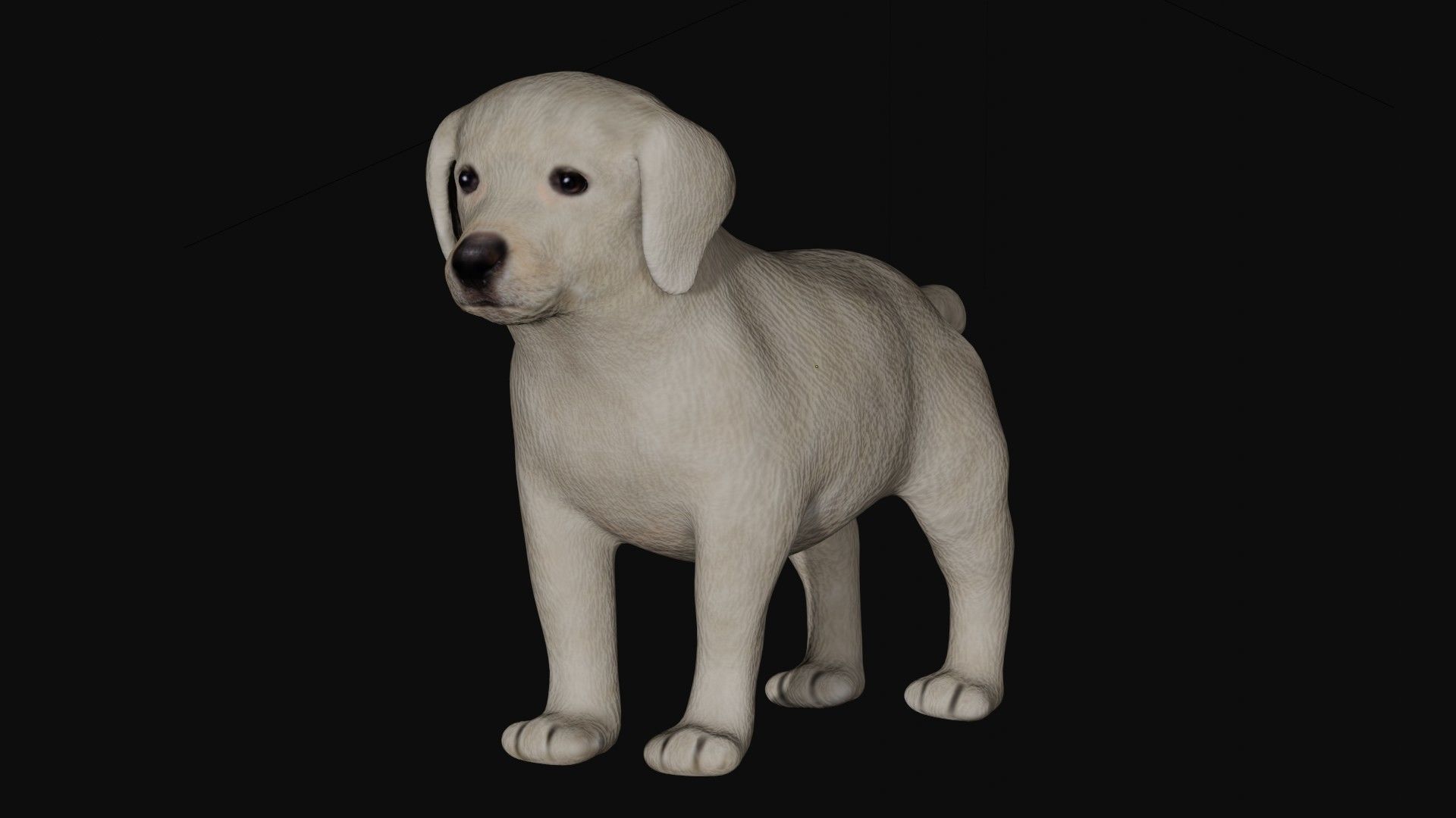 Puppy Labrador Low-poly 3D model_5