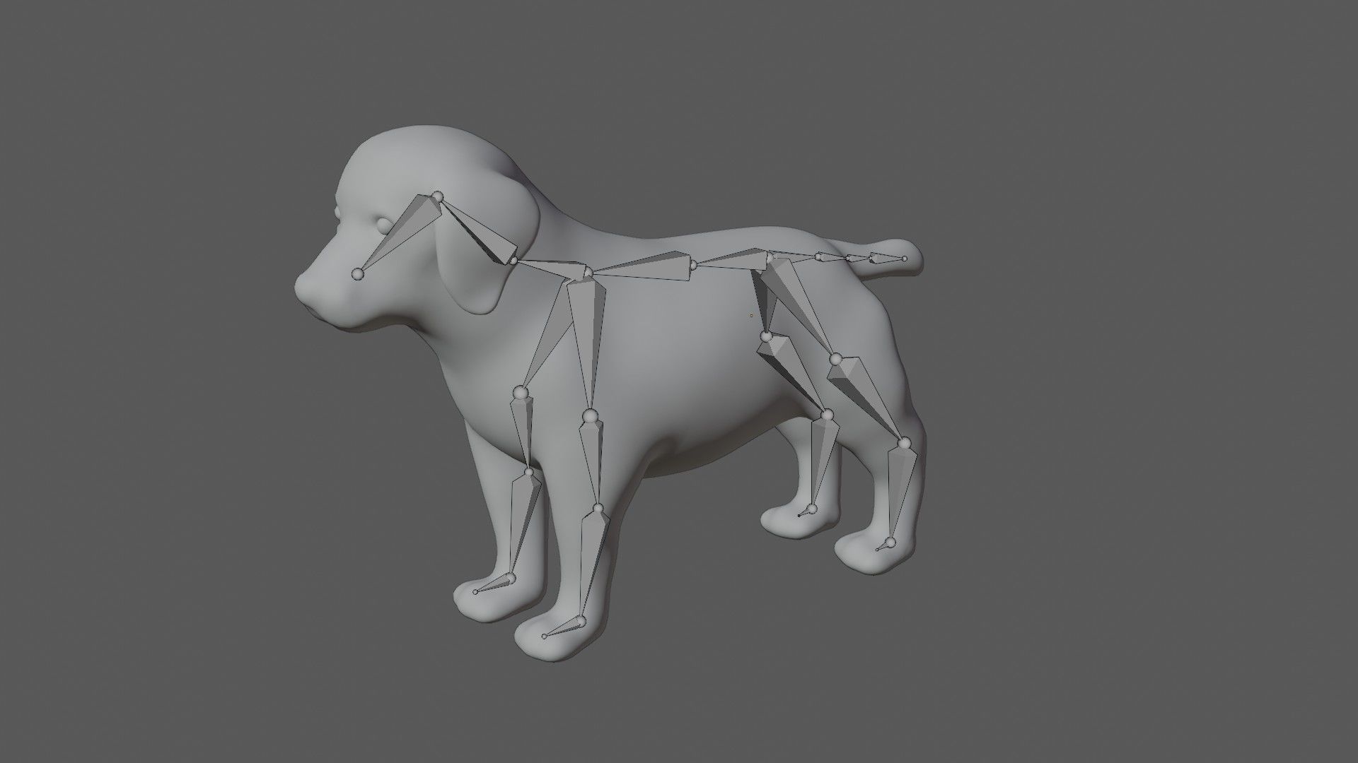 Puppy Labrador Low-poly 3D model_8