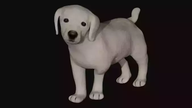 Puppy Labrador Low-poly 3D model