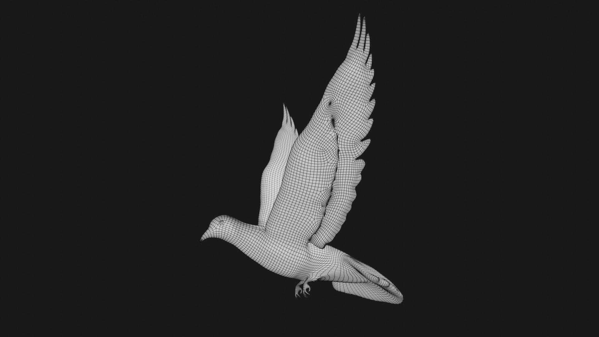 Dove white pigeon Low-poly 3D model_15