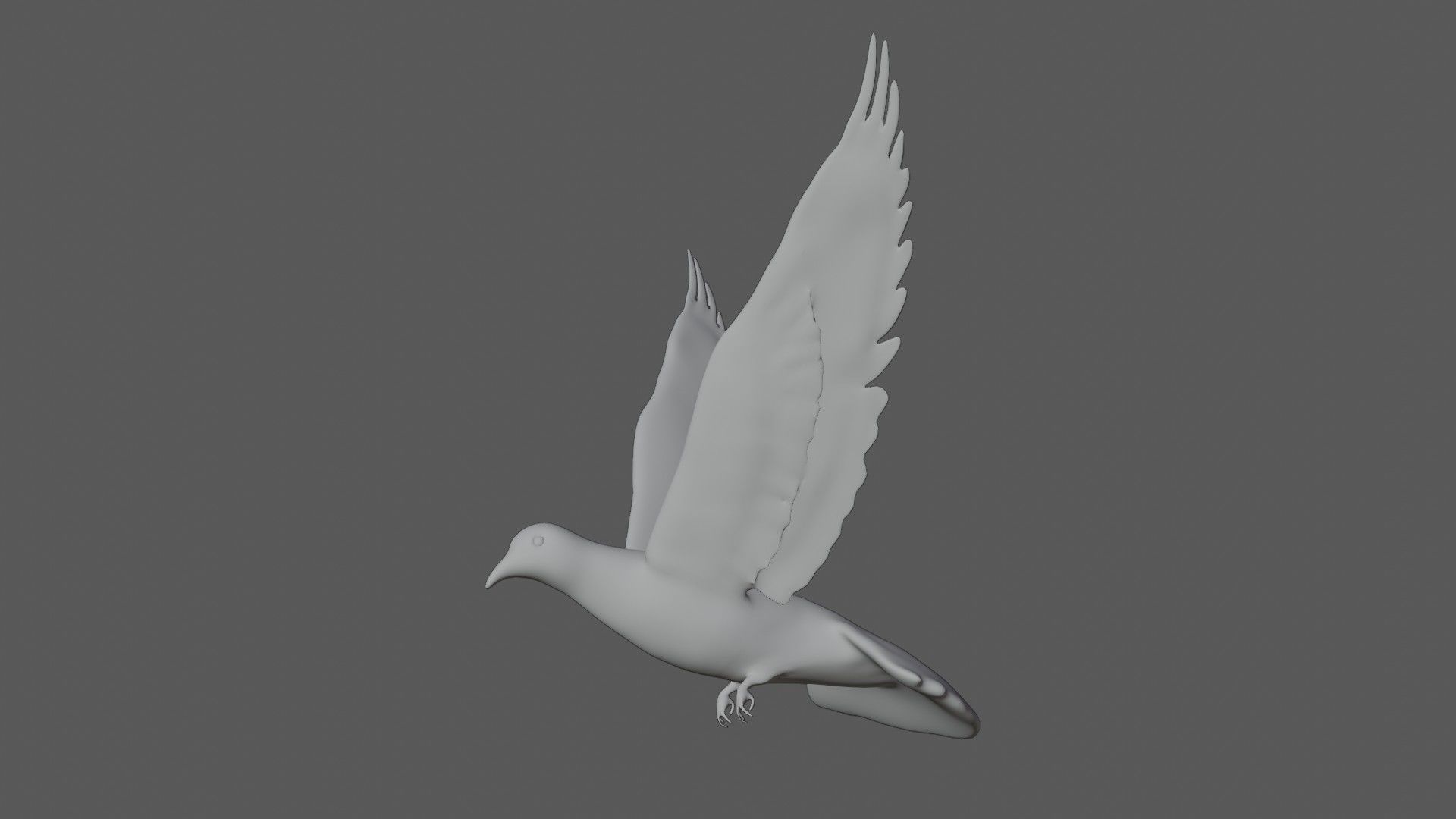 Dove white pigeon Low-poly 3D model_13