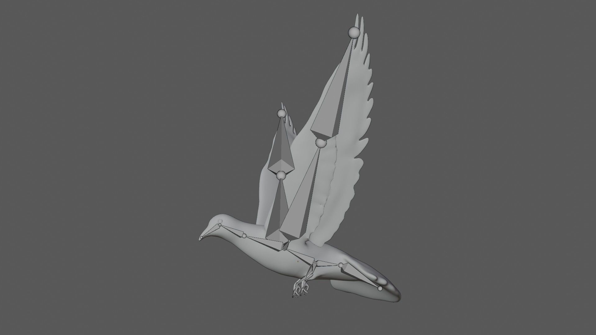 Dove white pigeon Low-poly 3D model_14