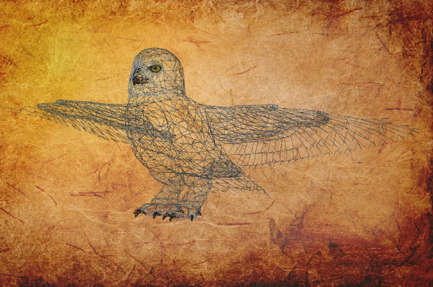 Bird Owl Low-poly 3D model_9