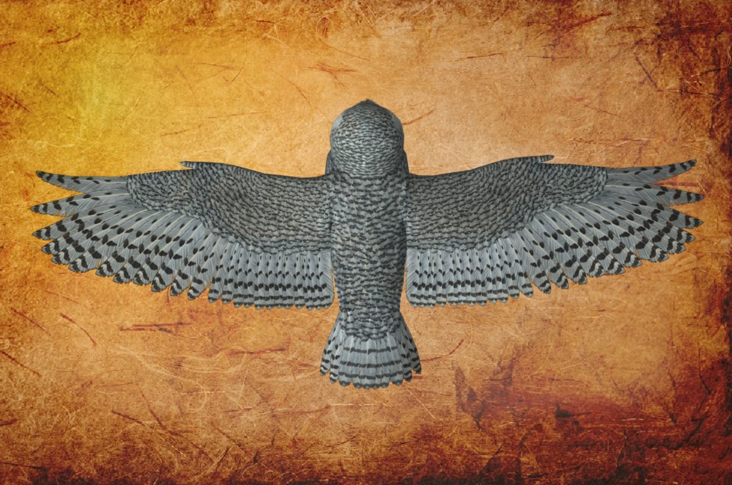 Bird Owl Low-poly 3D model_12