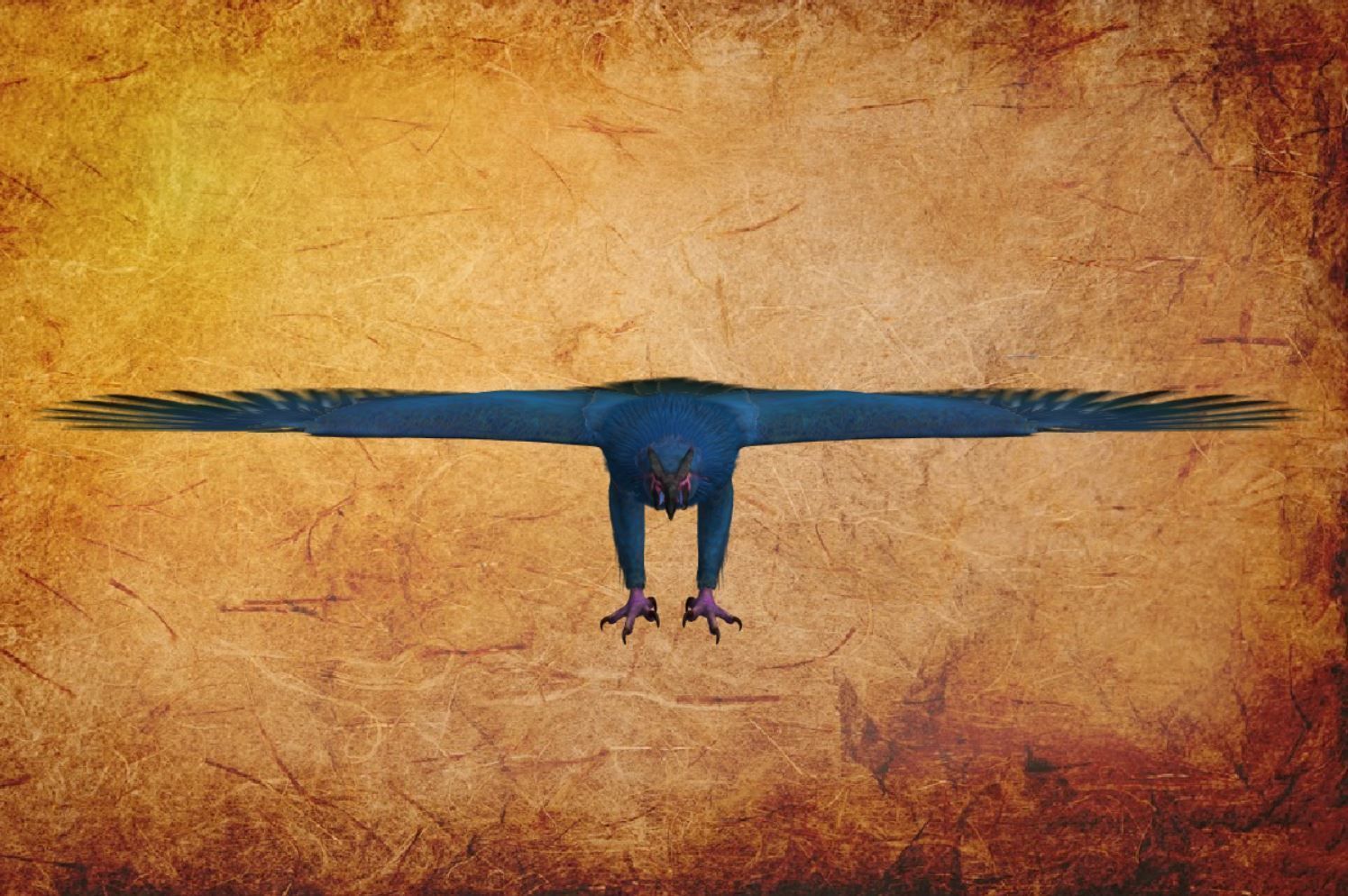 Bird Fantasy 02 Low-poly 3D model_1