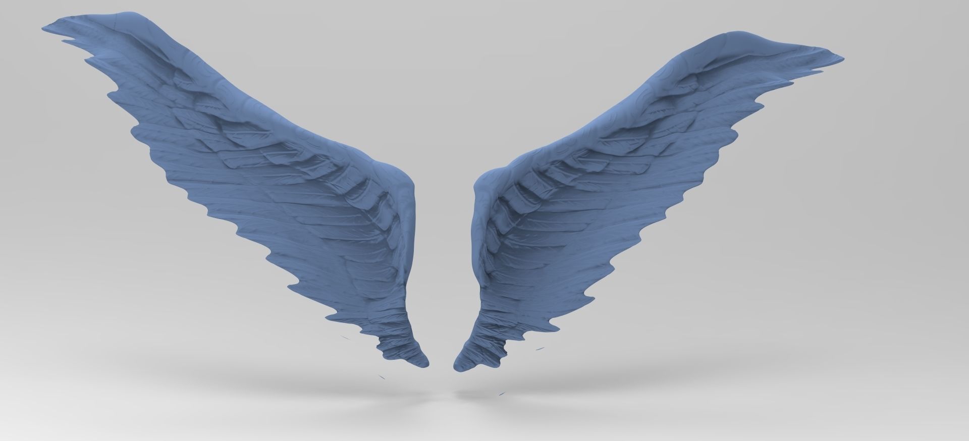 Angel wings rough open wide 3D model_1