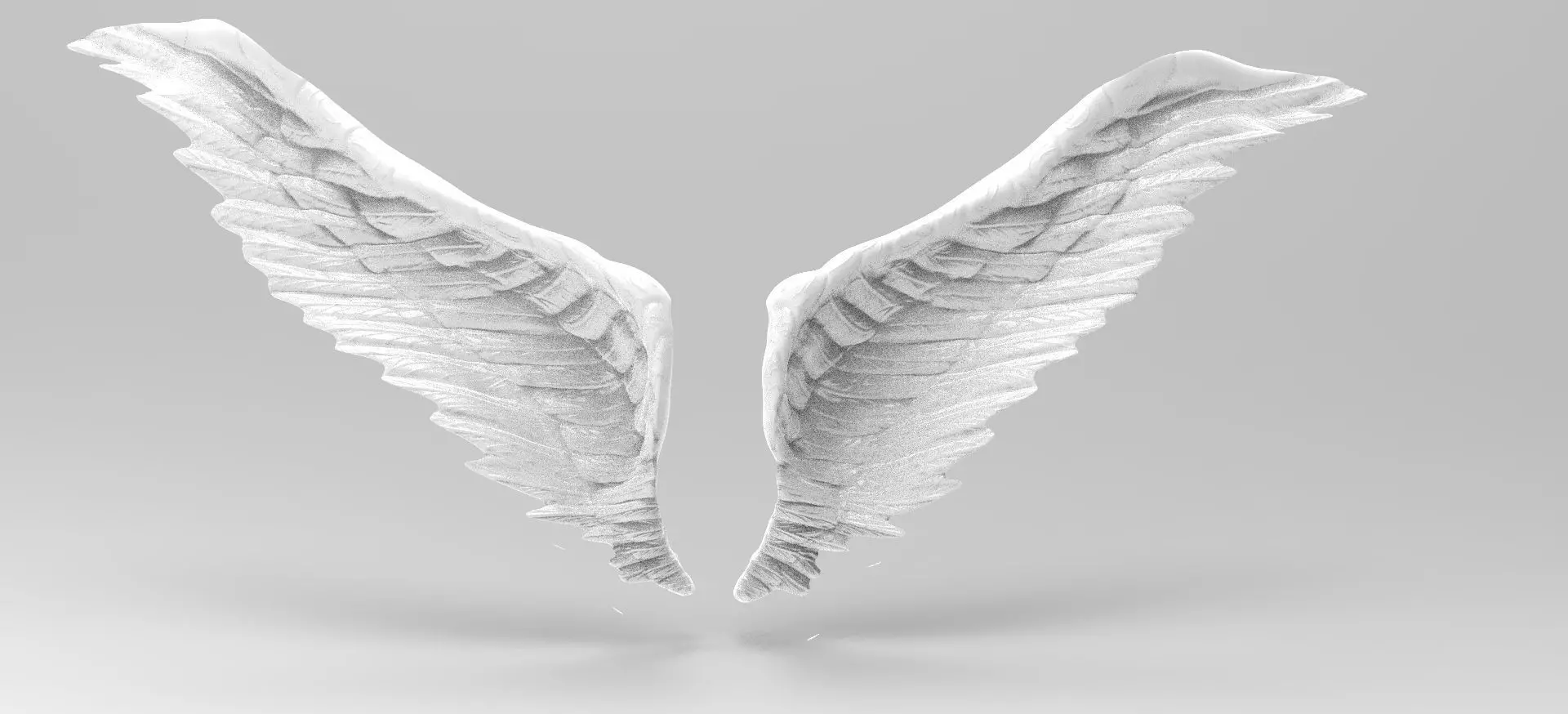 Angel wings rough open wide 3D model_0