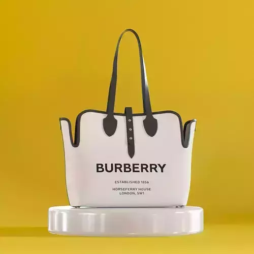 Barberry White Canvas Bag