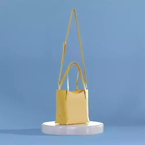 Zara Hard Mini Tote