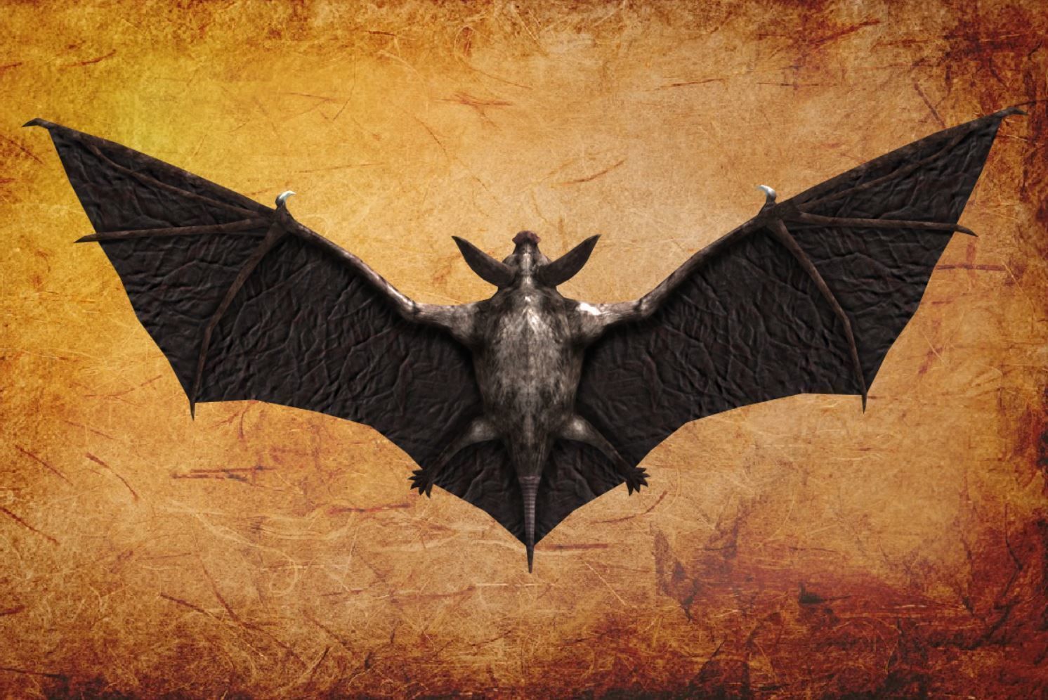 BAT lowpoly lord of rings Low-poly 3D model_14