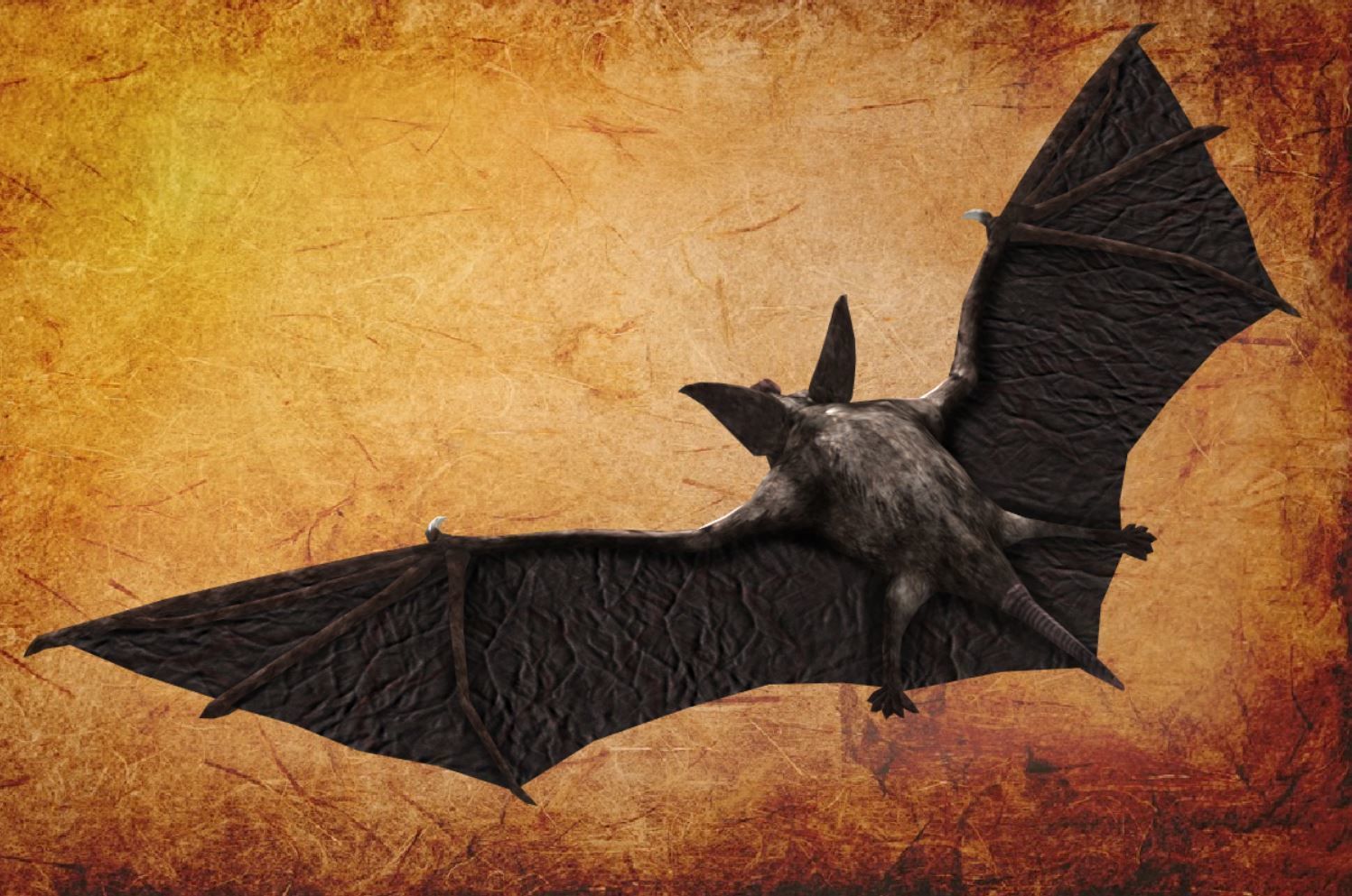 BAT lowpoly lord of rings Low-poly 3D model_13