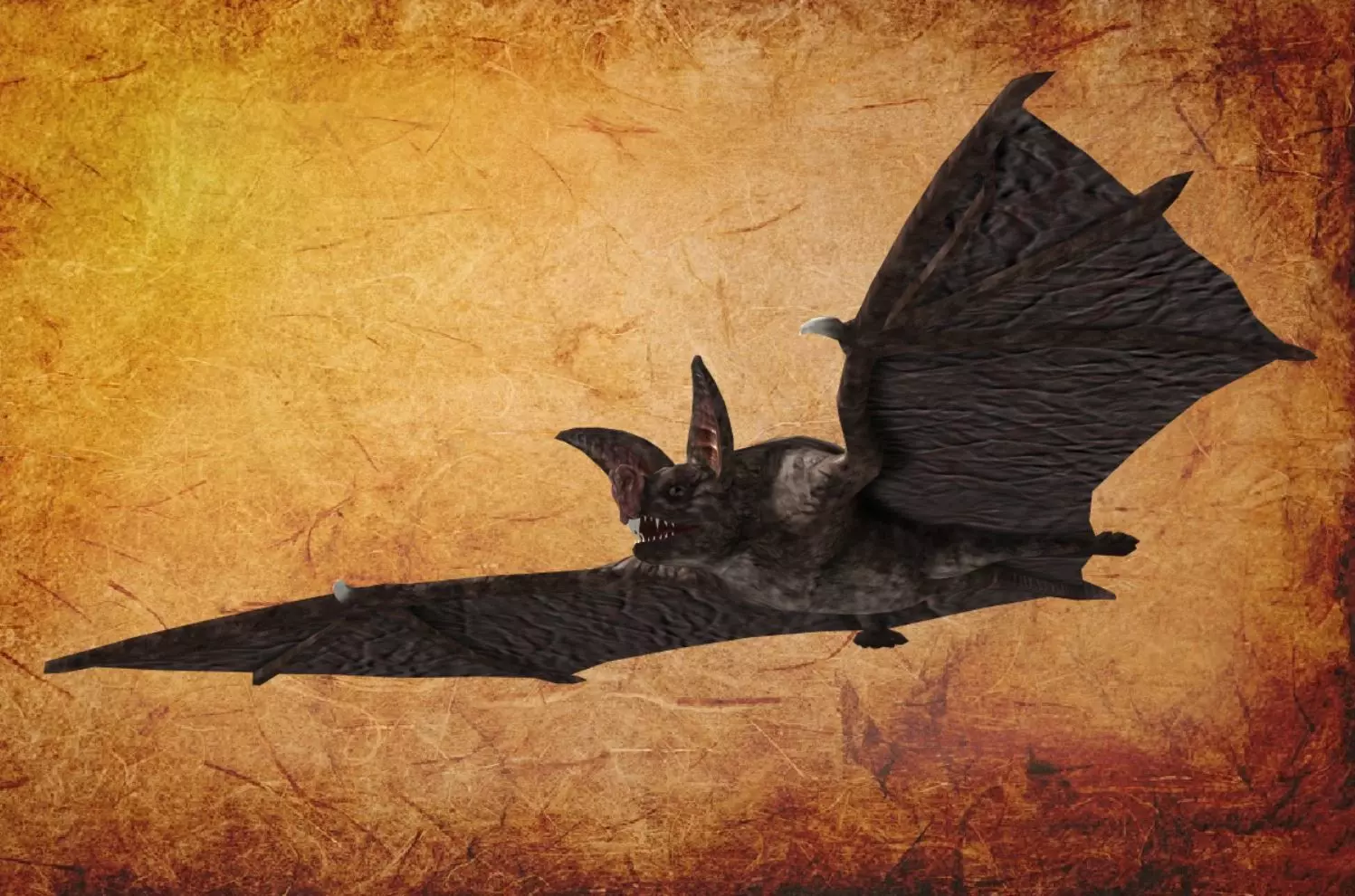 BAT lowpoly lord of rings Low-poly 3D model_0