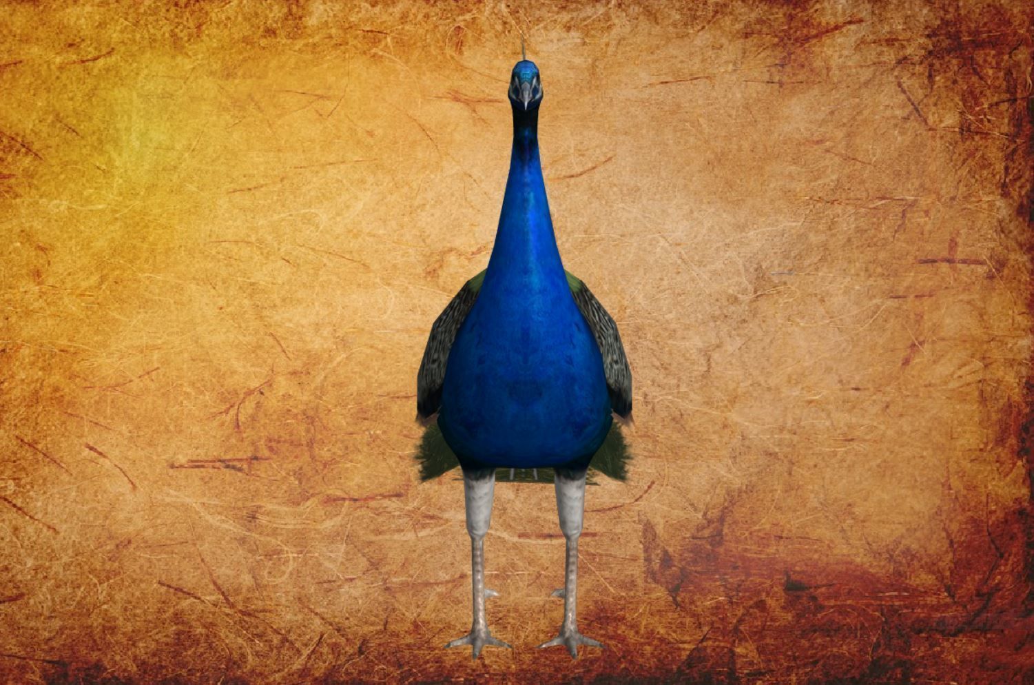 Peacock Low-poly 3D model_1