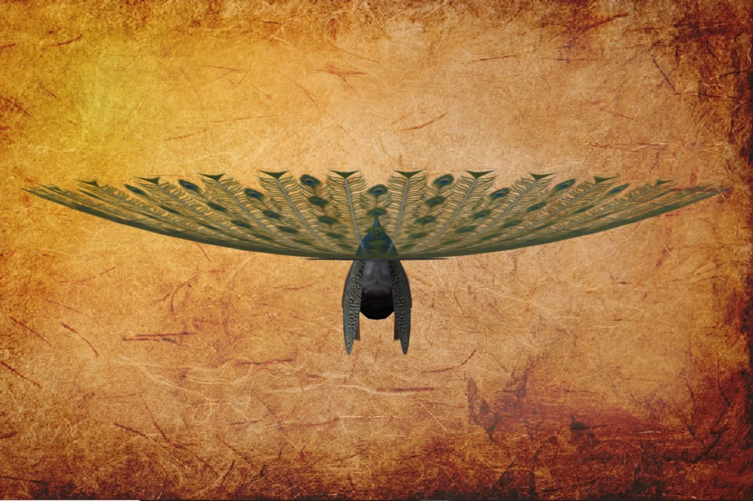 Peacock Low-poly 3D model_25