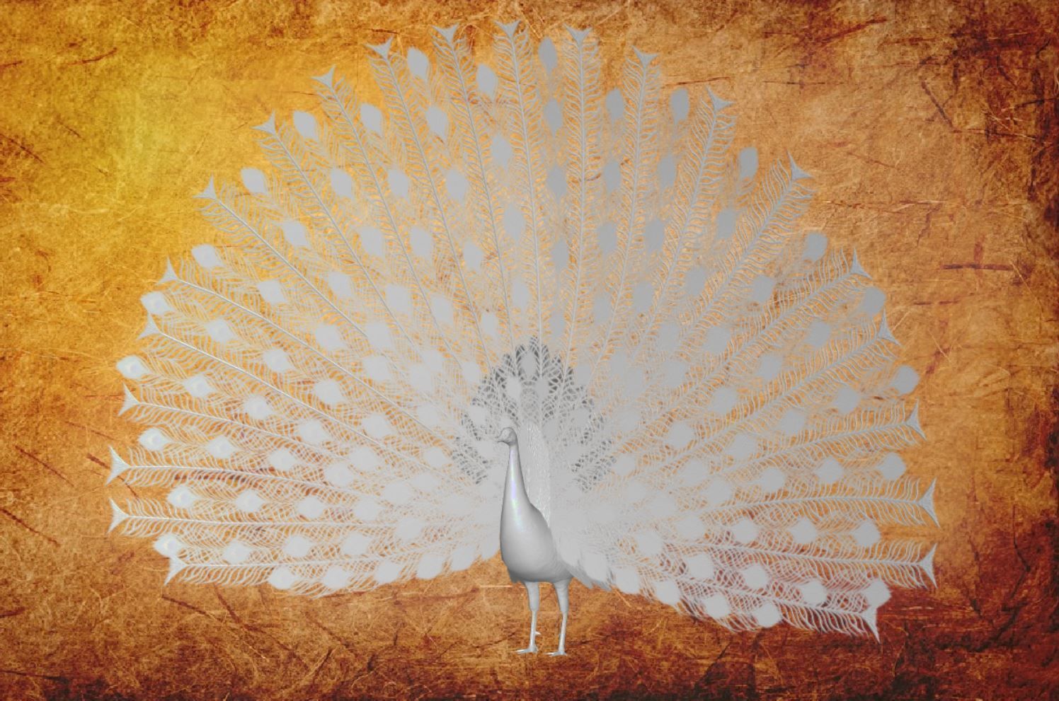 Peacock Low-poly 3D model_19