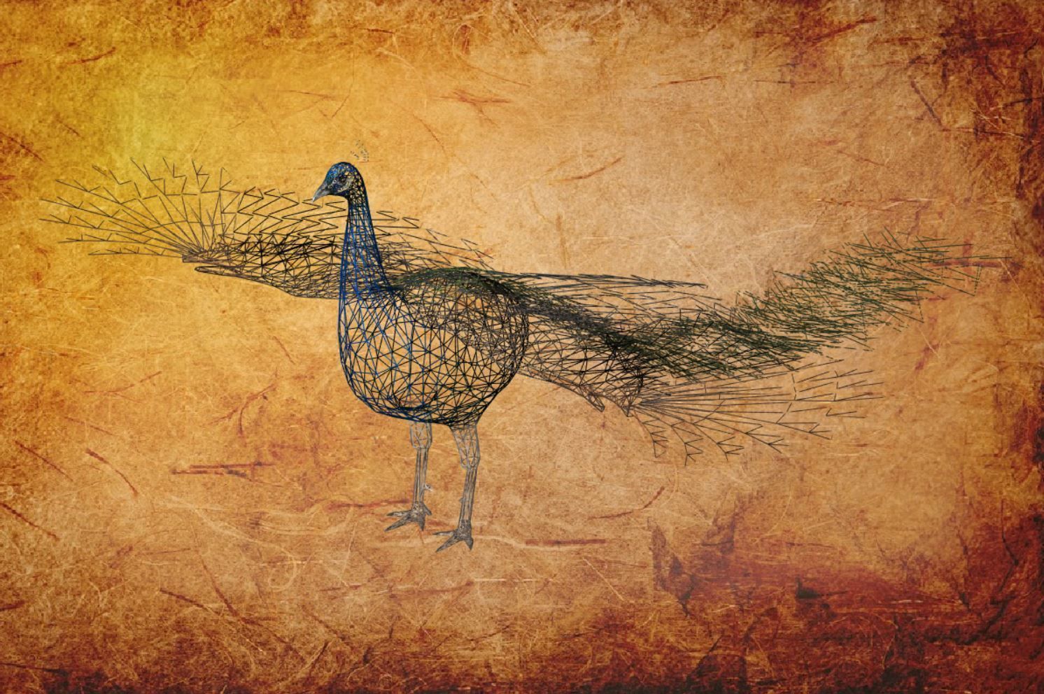 Peacock Low-poly 3D model_32