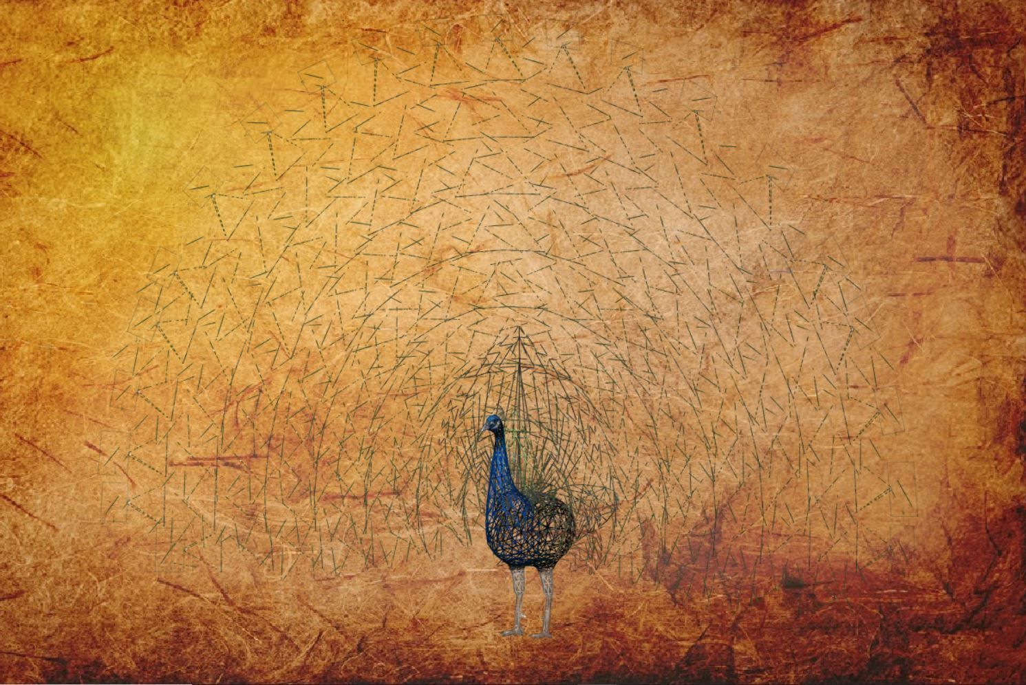 Peacock Low-poly 3D model_20